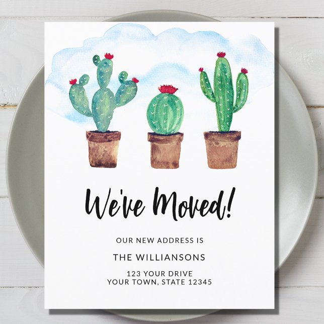 Orçamento Movimentamos Cactos (Criador carregado)