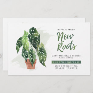 Orçamento Movimentamos Raízes em Lançamento