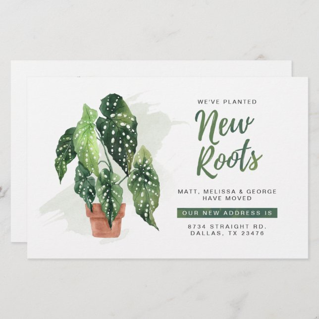 Orçamento Movimentamos Raízes em Lançamento (Frente/Verso)