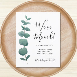 Orçamento Mudamos de Endereço Eucalyptus