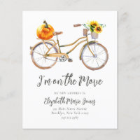 Orçamento Mudei Abóbora Girassol Bicicleta Mudança