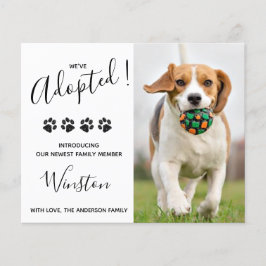 Orçamento Novo Cachorrinho Que Adotamos Anúncio Ca