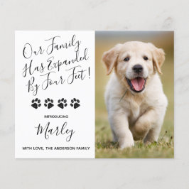 Orçamento Novo Pet Expandido por Quatro Pés Cachor