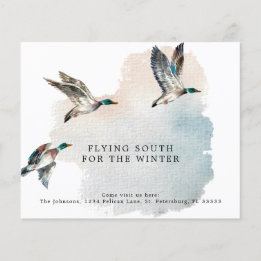 Orçamento Patos Voando no Sul Cartões Domésticos T