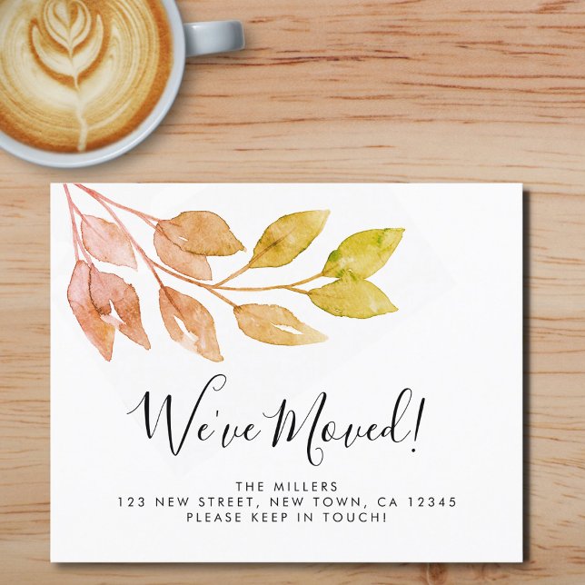 Orçamento que movemos para o lançamento da Folhage (Criador carregado)