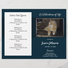 Orçamento Simples do Programa Funeral