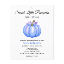 Orçamento Um Pequeno Chá de fraldas De Abóbora