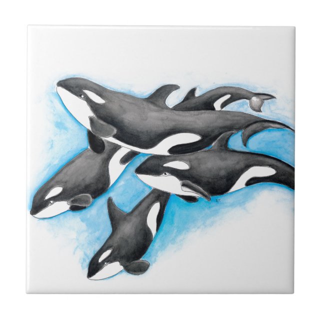 orcas em azul (Frente)