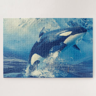 Orcas ou Killer Whales Quebra-cabeça