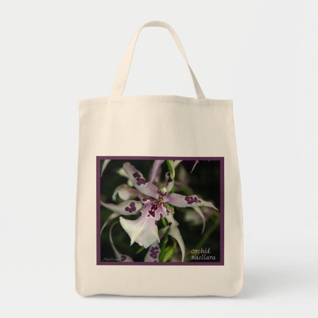 Orchid Beallara Bolsas (Frente)