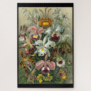 "Orchidae" por Ernst Haeckel Jigsaw Quebra-cabeça