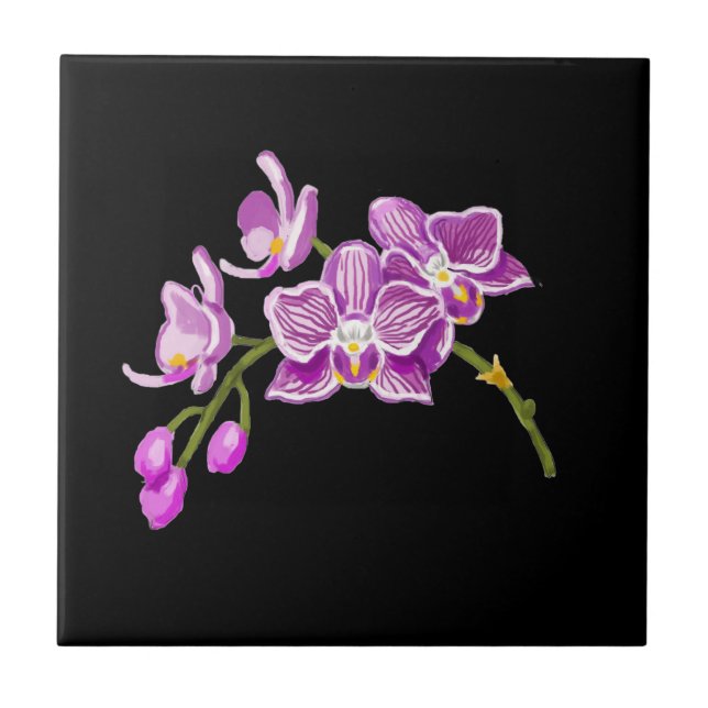 Orchids (Frente)