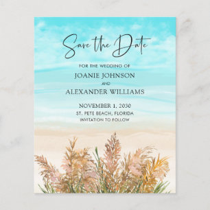 Ordenação de Pampas de Orçamento Praias Salvem a D