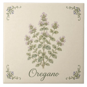 Orégano Botânico Vintage Cozinha Cottage Erva
