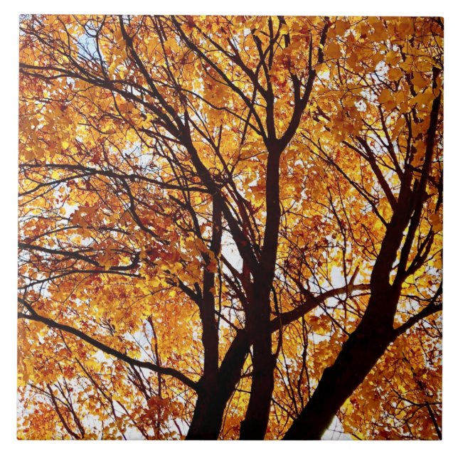 Oregon Fall Folaves (Frente)