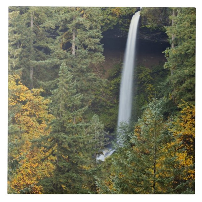 Oregon, Parque Estadual Silver Falls, North Falls (Frente)
