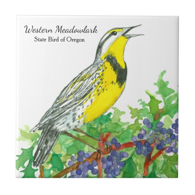 Oregon Souvenir Meadowlark Botânico (Frente)