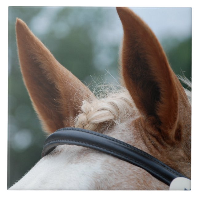 orelhas do cavalo (Frente)