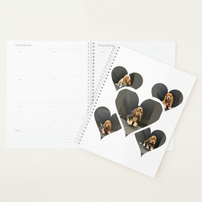 Organizador de disquete de hound basset (Exibição)