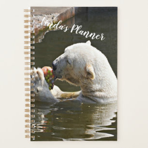 Organizador de Urso Polar Comendo Fruta