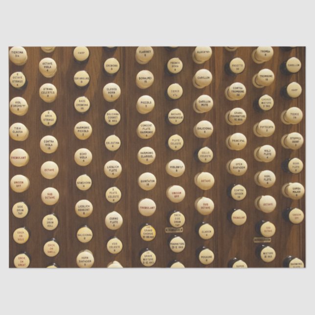 Órgãos brancos param papel (Frente )