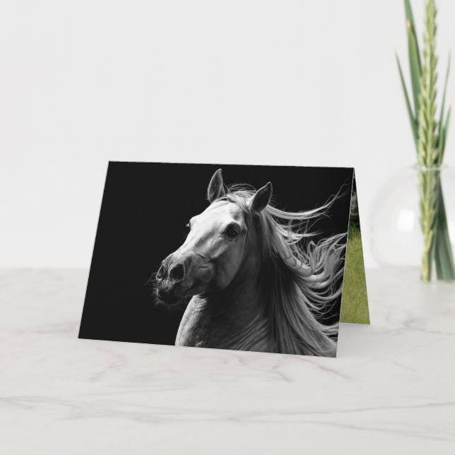 Orgulho do Esquilo Branco - Cartão Saudável do Cav (Frente)