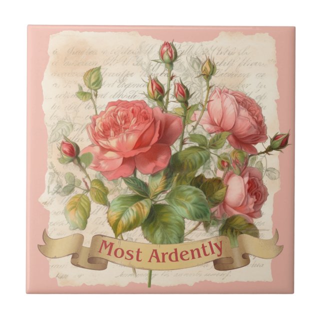 Orgulho e Preconceito, citação do Sr. Darcy, mais  (Frente)