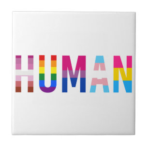 Orgulho gay Mês de Bandeira LGBT HUMANA Transgên