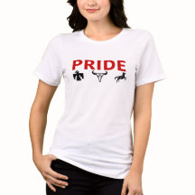 Orgulho Indígena Americano Cultura das Primeiras N