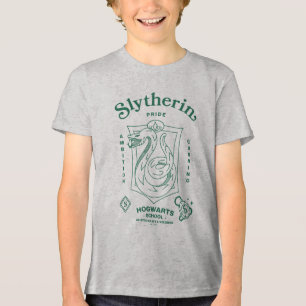 ORGULHO SLYTHERIN™ Ambição Astúcia Brasão