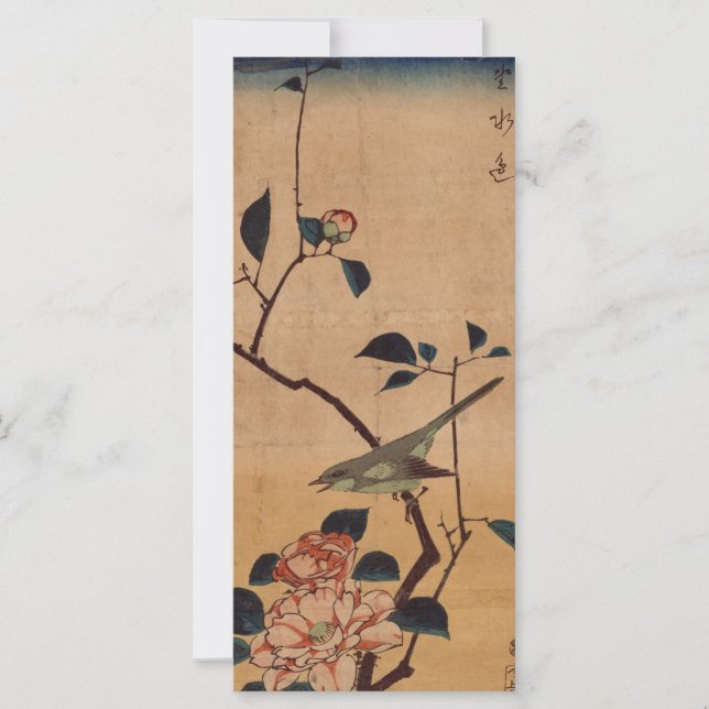 Oriental Camellia e Warbler (Frente)