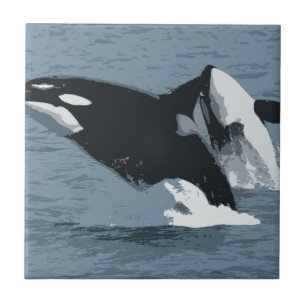 Orka Whale
