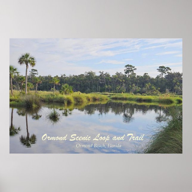 Ormond Scenic Loop Poster (Frente)