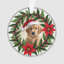 1º Natal 2 lados Santa Patas Para Sempre
