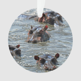 Ornamento 1 do safari