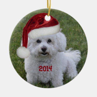 Ornamento 2014 de Bichon Frise