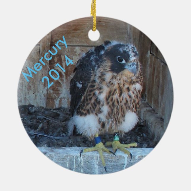 Ornamento 2014 de Mercury (Traseira)