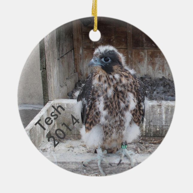 Ornamento 2014 de Tesh (Traseira)