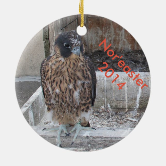 Ornamento 2014 do Nor'easter (Traseira)
