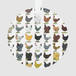 Ornamento 49 galinhas da galinha