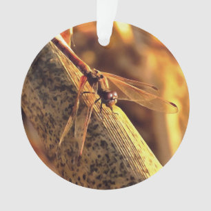 Ornamento 534424932Elegante Red Darter Dragonfly Insett Art