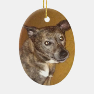 Ornamento #6 do tributo de Robert Hoynes