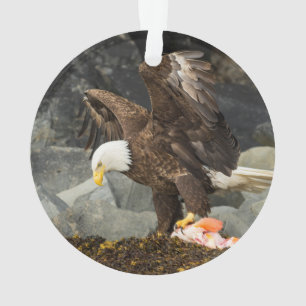 Ornamento A águia americana final