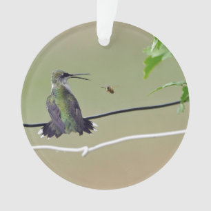 Ornamento Abelha do colibri & do mel