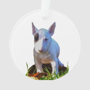 Ornamento abeto Personalizado - Desenho Bull