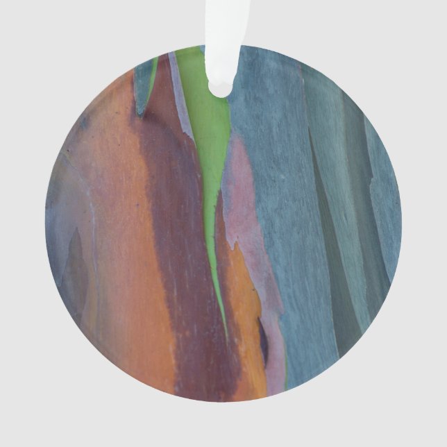 Ornamento Abstrato De Árvore De Goma Arco-Íris (Frente)