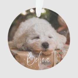 Ornamento Acredite no Feriado de Natal Personalizado