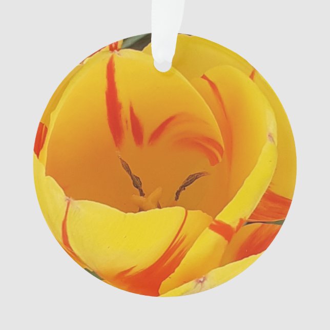 Ornamento acrílico da tulipa amarela (Frente)