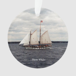 Ornamento acrílico de baleia mística