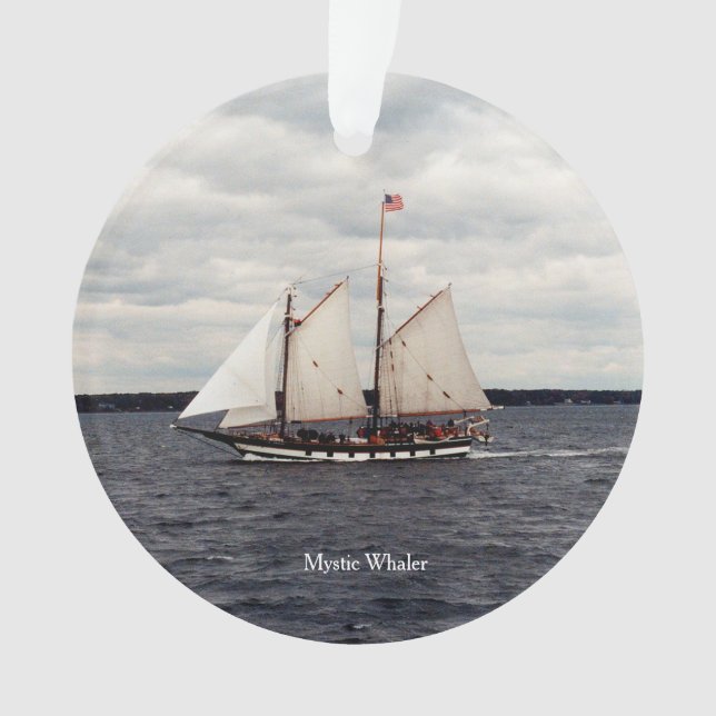 Ornamento acrílico de baleia mística (Frente)